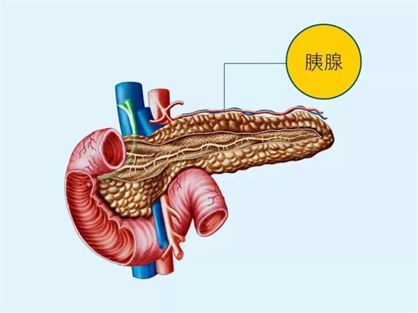 【世界胰腺癌日】關(guān)注胰腺癌，讓愛(ài)看得見(jiàn)